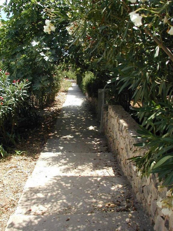 טרוגיר Apartments Cacija מראה חיצוני תמונה